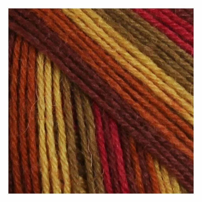 West Yorkshire Spinners Autumn Leaves Signature 4 Ply 100g 4 West Yorkshire Spinners Autumn Leaves Signature 4 Ply 100g - Image 2