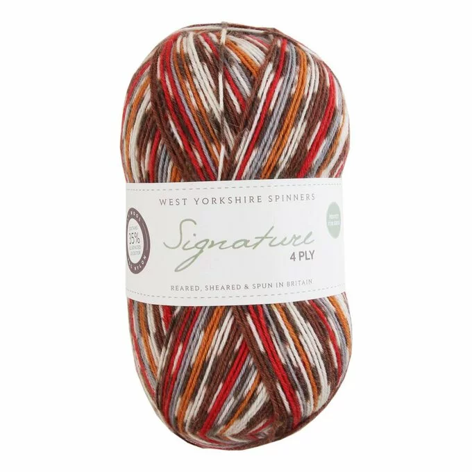 West Yorkshire Spinners Robin Signature 4 Ply Yarn 100g 3 West Yorkshire Spinners Robin Signature 4 Ply Yarn 100g