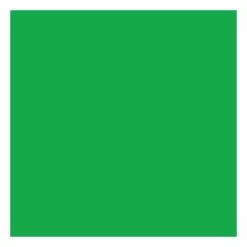 Cricut Infusible Ink Bright Green Transfer Sheets 2 Pack 5 Cricut Infusible Ink Bright Green Transfer Sheets 2 Pack -Cheap Christmas Crafts for Kids Store 647933 1001 2 cricut infusible ink bright green transfer sheets 2 pack