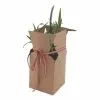 Hobbycraft Plant Gift Boxes 2 Pack 1 Hobbycraft Plant Gift Boxes 2 Pack -Cheap Christmas Crafts for Kids Store 649754 1000 1 plant gift boxes 2 pack