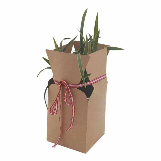 Hobbycraft Plant Gift Boxes 2 Pack 3 Hobbycraft Plant Gift Boxes 2 Pack