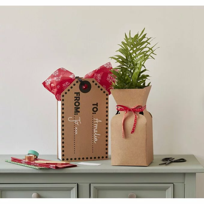 Hobbycraft Plant Gift Boxes 2 Pack 5 Hobbycraft Plant Gift Boxes 2 Pack - Image 3