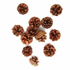 Hobbycraft Natural Pinecones 300g