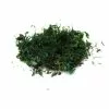 Hobbycraft Green Moss 40g 1 Hobbycraft Green Moss 40g -Cheap Christmas Crafts for Kids Store 653573 1000 1 green moss 40g