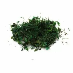 Hobbycraft Green Moss 40g