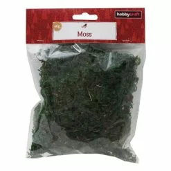 Hobbycraft Green Moss 40g 5 Hobbycraft Green Moss 40g -Cheap Christmas Crafts for Kids Store 653573 1000 2 green moss 40g