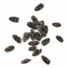 Hobbycraft Mini Fir Cones 18g -Cheap Christmas Crafts for Kids Store 653679 1000 1 mini fir cones 18g