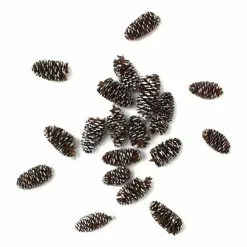 Hobbycraft Mini Fir Cones 18g
