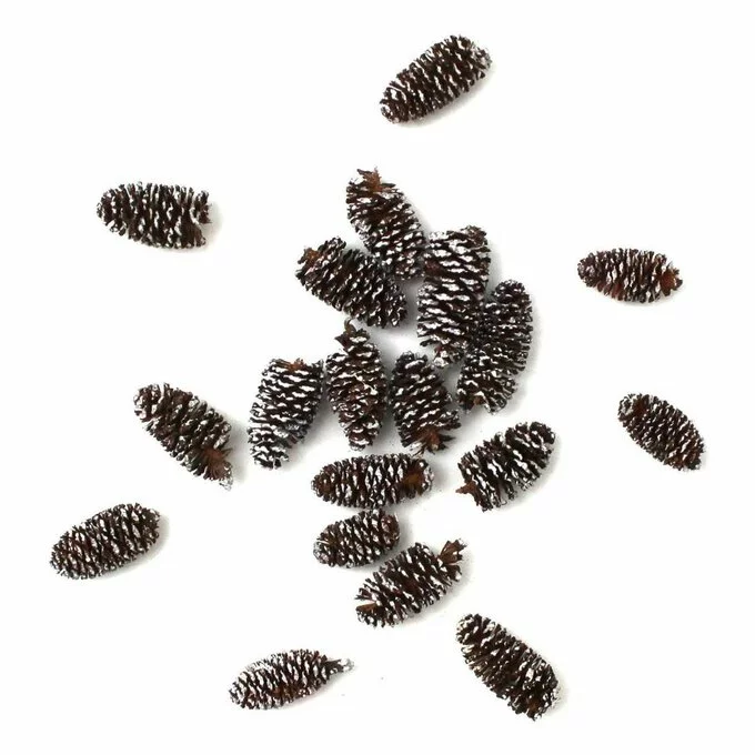 Hobbycraft Mini Fir Cones 18g 3 Hobbycraft Mini Fir Cones 18g