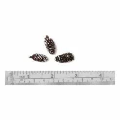 Hobbycraft Mini Fir Cones 18g 6 Hobbycraft Mini Fir Cones 18g -Cheap Christmas Crafts for Kids Store 653679 1000 2 mini fir cones 18g