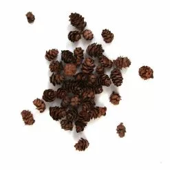 Hobbycraft Natural Pinecones 110g