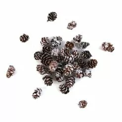 Hobbycraft White-Washed Pinecones 110g
