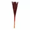 Hobbycraft Burgundy Nanal Grass 72cm 1 Hobbycraft Burgundy Nanal Grass 72cm -Cheap Christmas Crafts for Kids Store 653924 1000 1 burgundy nanal grass 72cm
