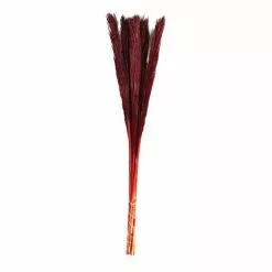Hobbycraft Burgundy Nanal Grass 72cm