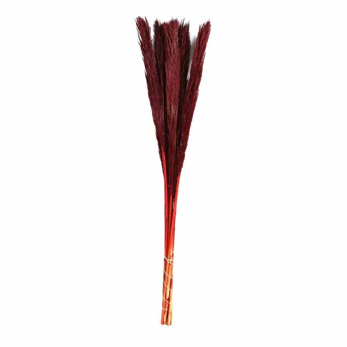 Hobbycraft Burgundy Nanal Grass 72cm 3 Hobbycraft Burgundy Nanal Grass 72cm