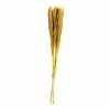 Hobbycraft Yellow Nanal Grass 72cm 2 Hobbycraft Yellow Nanal Grass 72cm -Cheap Christmas Crafts for Kids Store 653924 1001 1 yellow nanal grass 72cm
