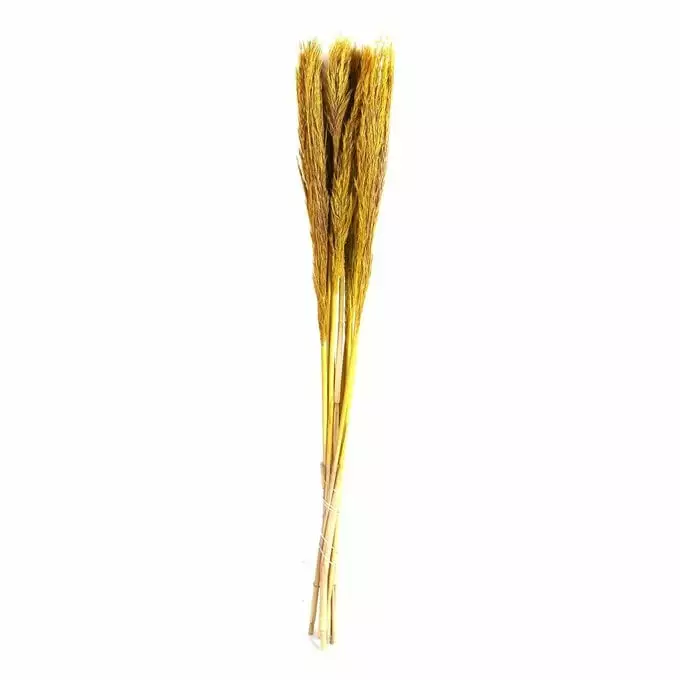 Hobbycraft Yellow Nanal Grass 72cm 3 Hobbycraft Yellow Nanal Grass 72cm