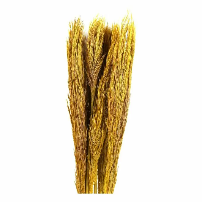 Hobbycraft Yellow Nanal Grass 72cm 4 Hobbycraft Yellow Nanal Grass 72cm - Image 2