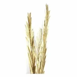 Hobbycraft Gold Canna Leaves 100cm 5 Hobbycraft Gold Canna Leaves 100cm -Cheap Christmas Crafts for Kids Store 653926 1001 2 gold canna leaves 100cm