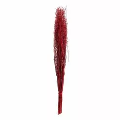 Hobbycraft Burgundy Mustard Grass Bunch 100cm