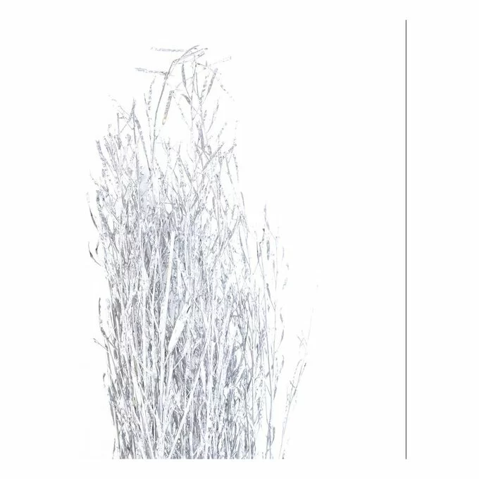 Hobbycraft Silver Mustard Stick Bunch 100cm 4 Hobbycraft Silver Mustard Stick Bunch 100cm - Image 2