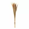 Hobbycraft Biscotti Broom Grass Bunch 100cm 2 Hobbycraft Biscotti Broom Grass Bunch 100cm -Cheap Christmas Crafts for Kids Store 653930 1000 1 biscotti broom grass bunch 100cm