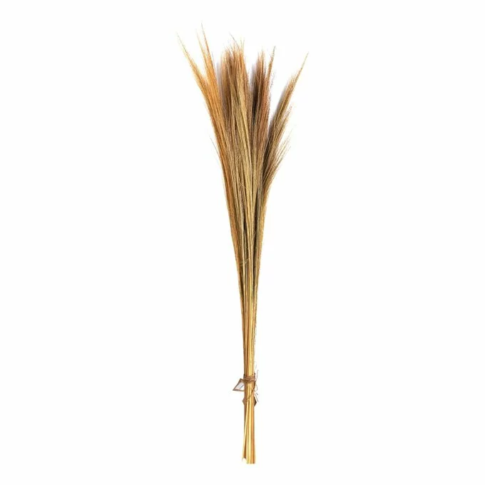 Hobbycraft Biscotti Broom Grass Bunch 100cm 3 Hobbycraft Biscotti Broom Grass Bunch 100cm