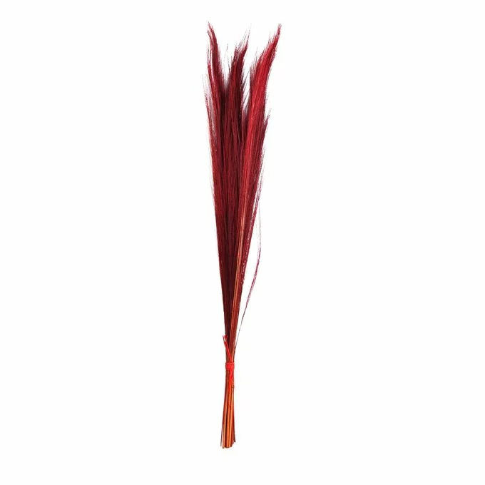Hobbycraft Red Broom Grass Bunch 100cm 3 Hobbycraft Red Broom Grass Bunch 100cm