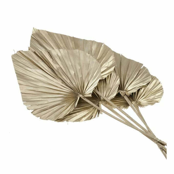 Hobbycraft Champagne Gold King Palm Spears 5 Pack 4 Hobbycraft Champagne Gold King Palm Spears 5 Pack - Image 2