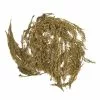 Hobbycraft Gold Cypress Leaves 50g 1 Hobbycraft Gold Cypress Leaves 50g -Cheap Christmas Crafts for Kids Store 659125 1000 1 christmas gold cypress leaves