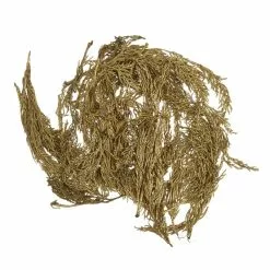 Hobbycraft Gold Cypress Leaves 50g