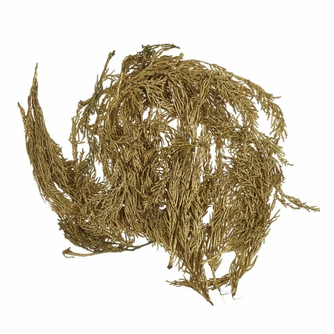 Hobbycraft Gold Cypress Leaves 50g 3 Hobbycraft Gold Cypress Leaves 50g