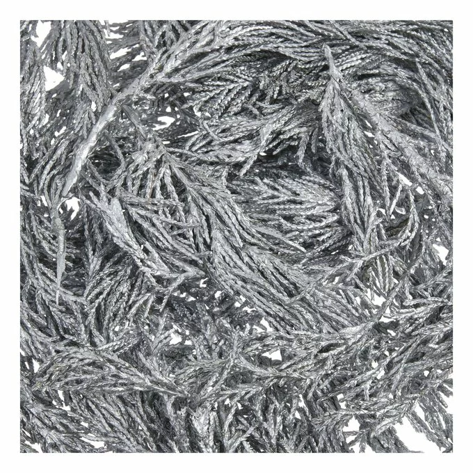 Hobbycraft Silver Cypress Leaves 50g 4 Hobbycraft Silver Cypress Leaves 50g - Image 2