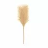 Hobbycraft Camel Pampas Pick 30.5cm 1 Hobbycraft Camel Pampas Pick 30.5cm -Cheap Christmas Crafts for Kids Store 659130 1001 1 autumn pampas pick white decoration