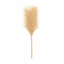 Hobbycraft Camel Pampas Pick 30.5cm