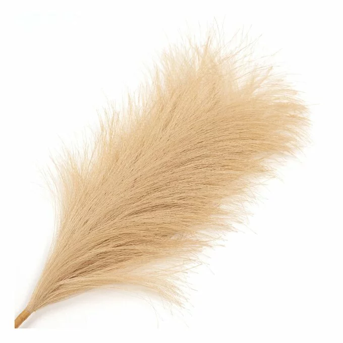Hobbycraft Camel Pampas Pick 30.5cm 4 Hobbycraft Camel Pampas Pick 30.5cm - Image 2
