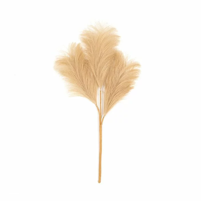 Hobbycraft Camel Pampas Stem 45.5cm 3 Hobbycraft Camel Pampas Stem 45.5cm