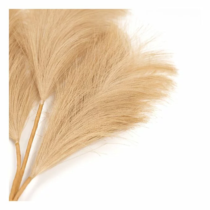 Hobbycraft Camel Pampas Stem 45.5cm 4 Hobbycraft Camel Pampas Stem 45.5cm - Image 2