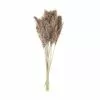 Hobbycraft Dried Nanal Grass Bunch 72cm 2 Hobbycraft Dried Nanal Grass Bunch 72cm -Cheap Christmas Crafts for Kids Store 659476 1000 1 nanal grass bunch 800