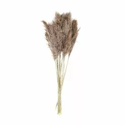 Hobbycraft Dried Nanal Grass Bunch 72cm