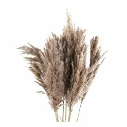 Hobbycraft Dried Nanal Grass Bunch 72cm -Cheap Christmas Crafts for Kids Store 659476 1000 3 nanal grass bunch 800